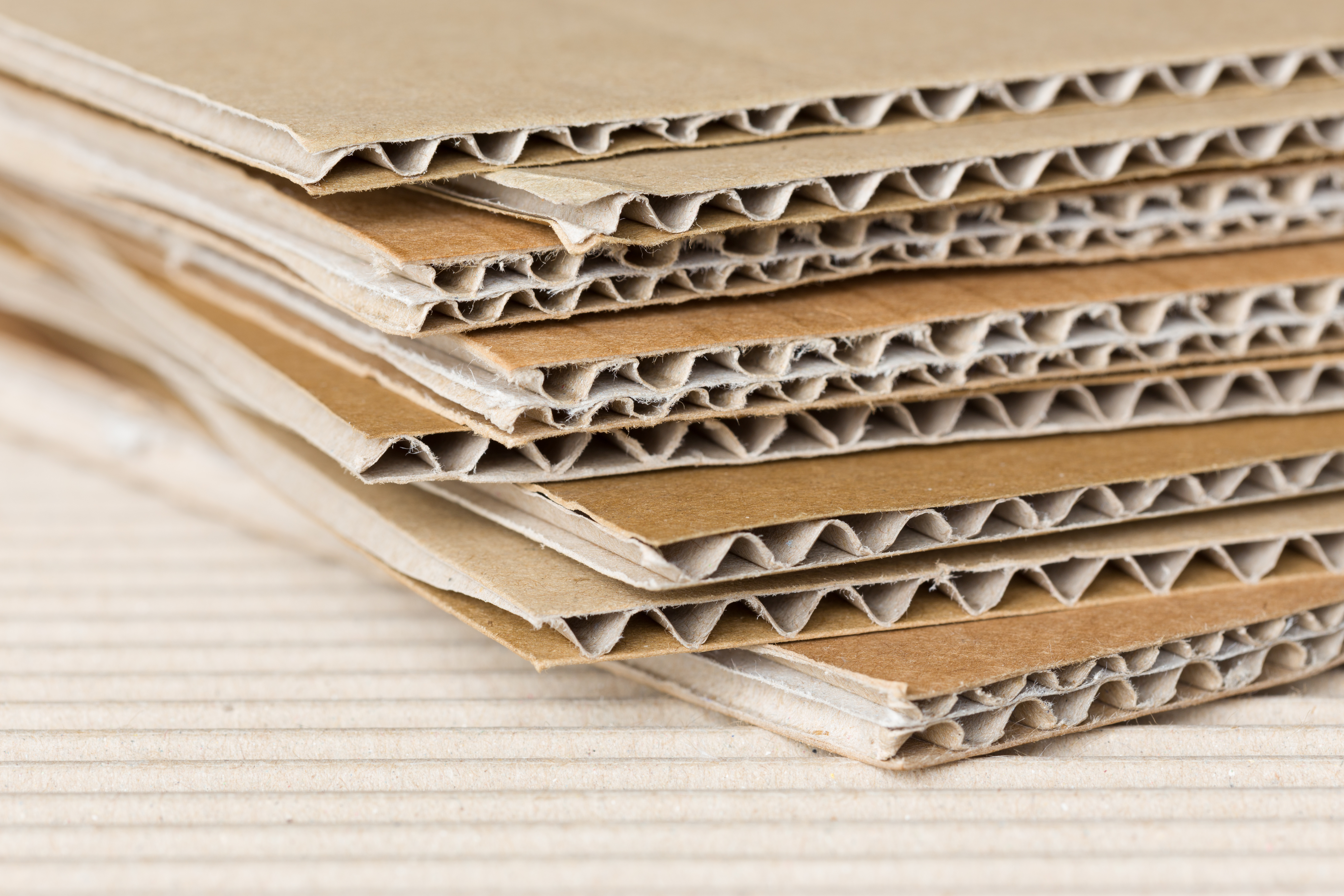 UTP เพิ่มกำลังการผลิตเยื่อกระดาษอีกวันละ 200 ตัน รับความต้องการกล่องกระดาษพุ่ง