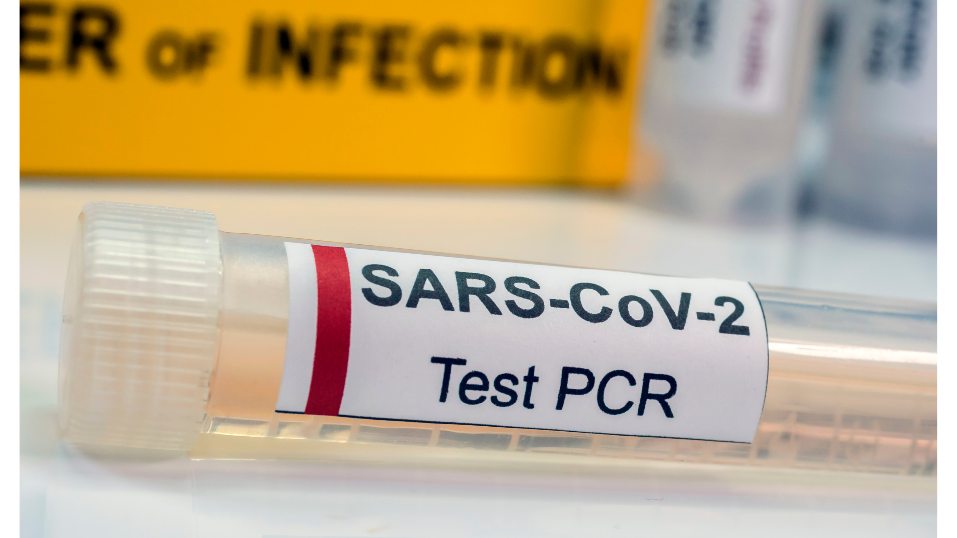 อินเดียยกเลิกตรวจ RT-PCR ผู้เดินทางจากไทย มีผล 13 ก.พ. 2566 