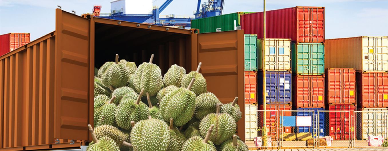 มาตรการคุมเข้มการขนส่งสินค้าผ่าน สปป.ลาว ทำต้นทุนขนส่งผลไม้ไปจีนของผู้ประกอบการเพิ่มเป็นเท่าตัว