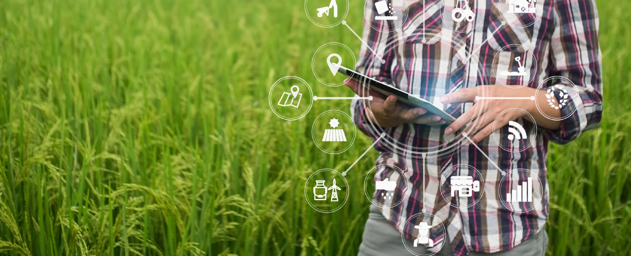 จับตา “AgriTech” เทคโนโลยีเปลี่ยนโฉมภาคเกษตรโลก