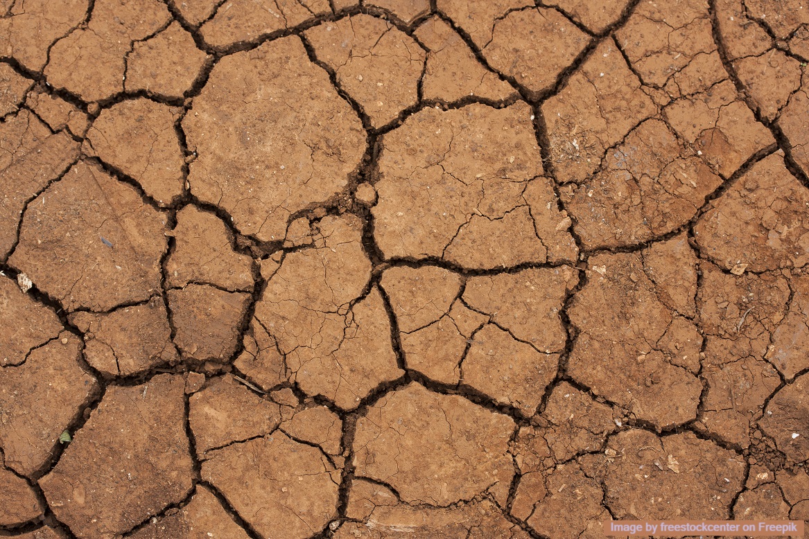 เตือน La Nina อ่อนแรงเดือน เม.ย. 2568 ส่งผล El Nino รุกคืบ